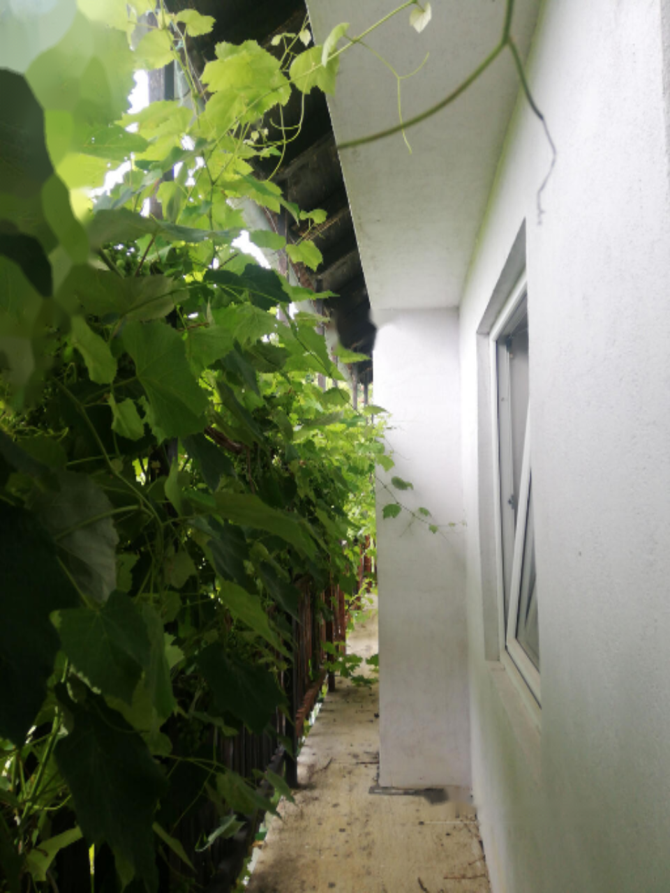 Дом Зибика, Словения, 154 м² - фото 14