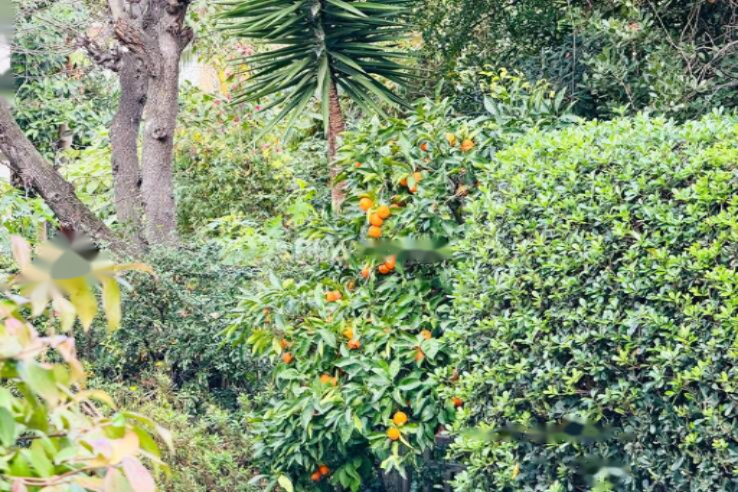 Квартира в Каннах, Франция, 45 м² - фото 7