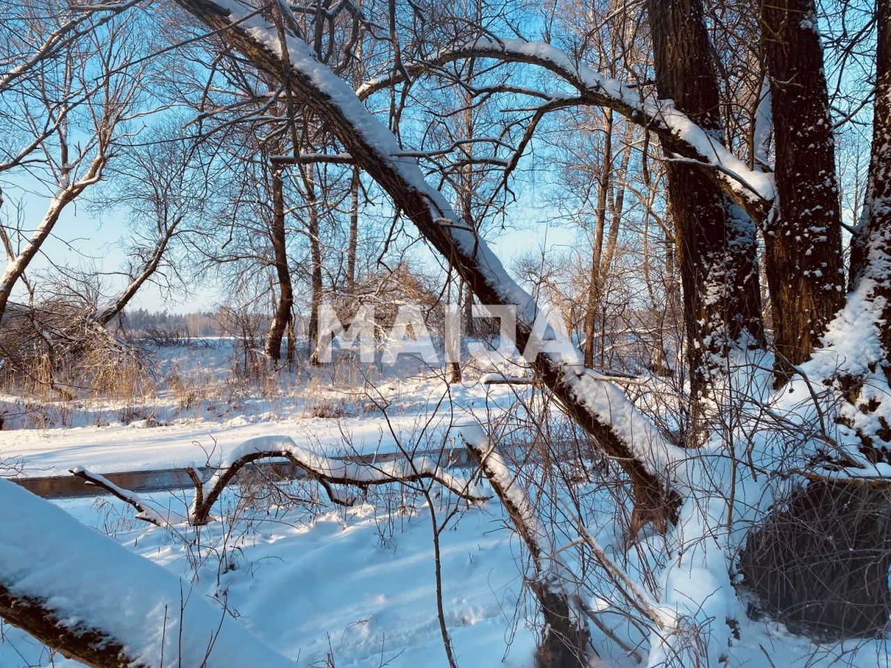 Земля Балдоне, Латвия, 36 000 м² - фото 3