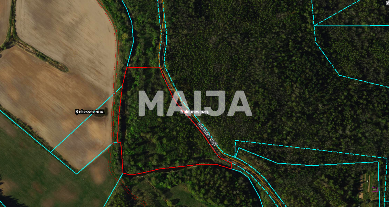 Земля Балдоне, Латвия, 36 000 м² - фото 4