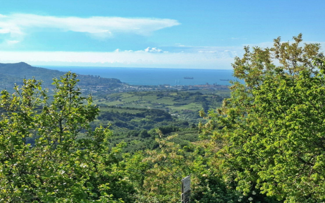 Дом в Копере, Словения, 1 146 м² - фото 2