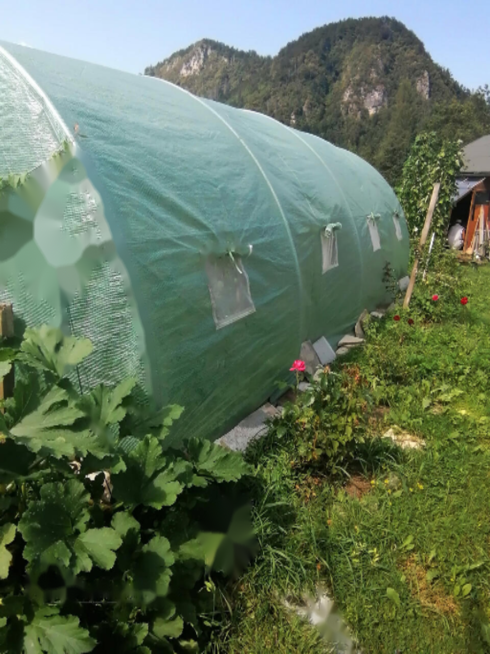 Дом в Бледе, Словения, 169 м² - фото 7