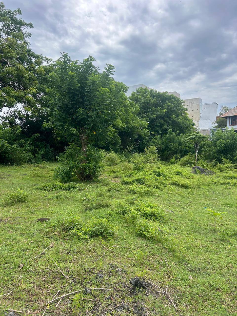 Земля в Нуса Дуа, Индонезия, 21 сот. - фото 5