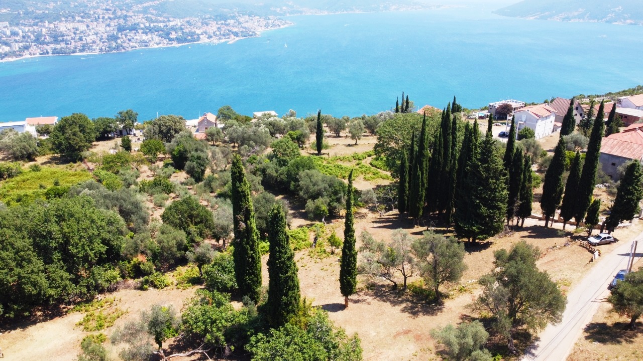 Земля в Херцег-Нови, Черногория, 2 391 м² - фото 9