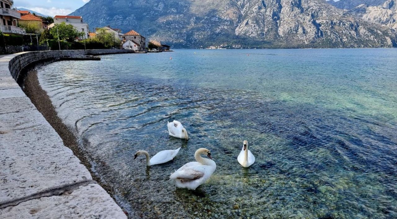 Земля в Прчани, Черногория, 482 м² - фото 6