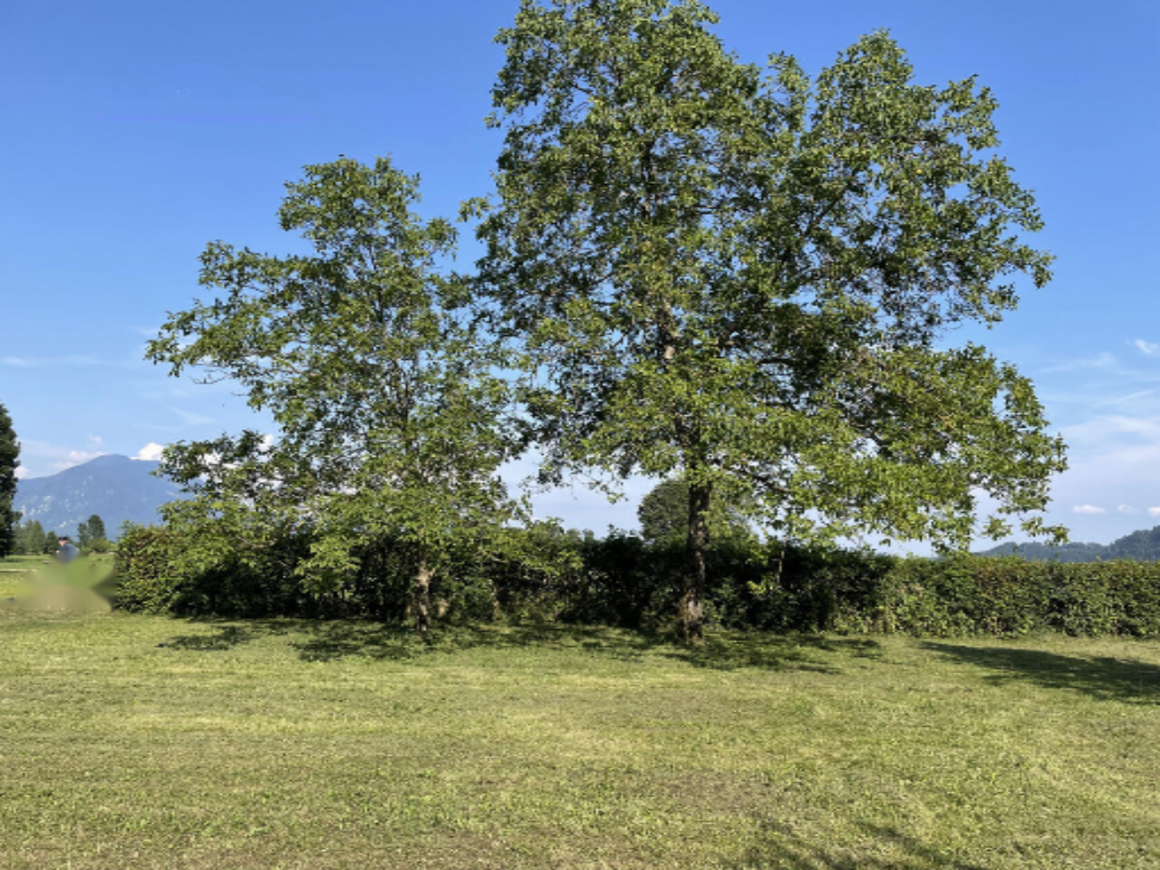 Земля в Бледе, Словения, 5 090 м² - фото 1