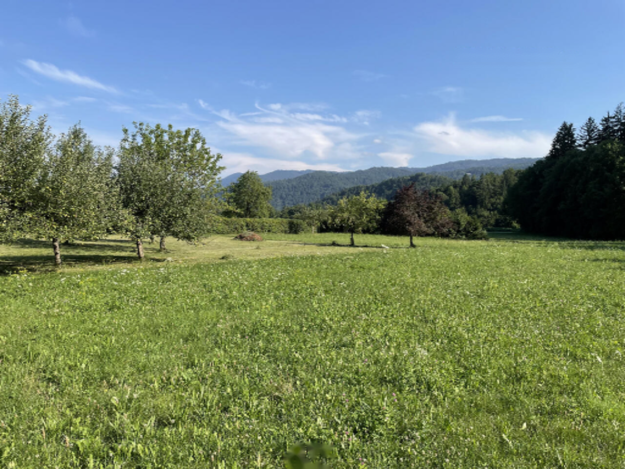 Земля в Бледе, Словения, 5 090 м² - фото 5