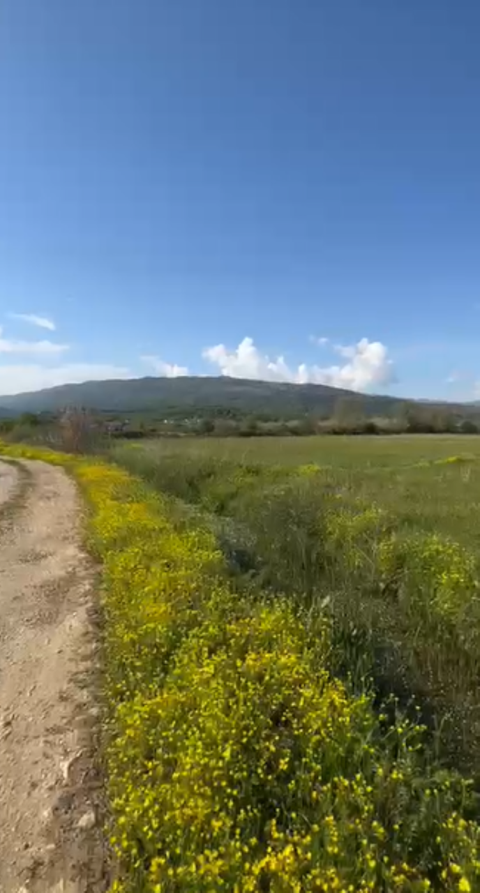 Земля в Улцине, Черногория, 560 м² - фото 3