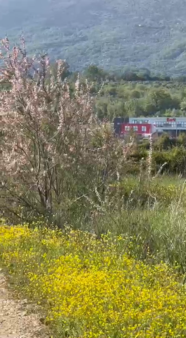 Земля в Улцине, Черногория, 560 м² - фото 2