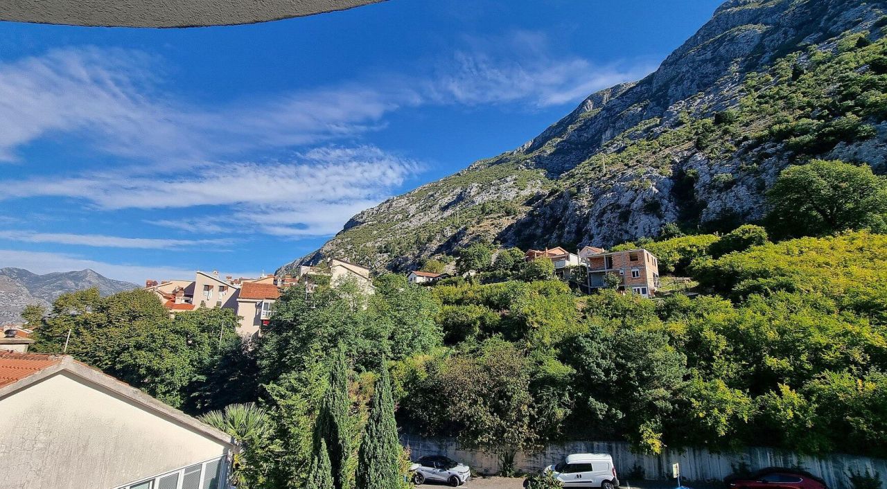 Апартаменты в Доброте, Черногория, 50 м² - фото 10