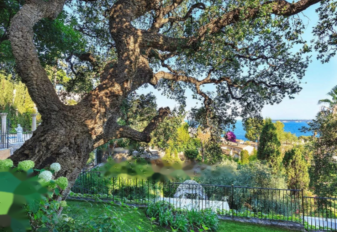 Квартира в Каннах, Франция, 360 м² - фото 7