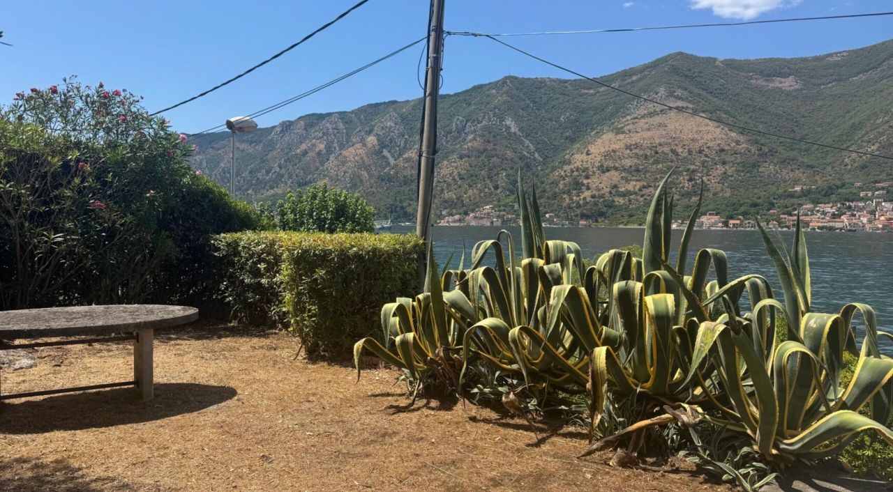 Вилла в Доброте, Черногория, 160 м² - фото 4