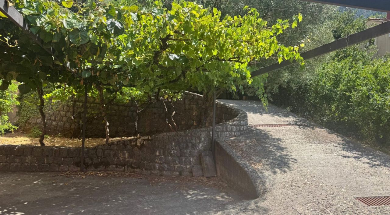 Вилла в Доброте, Черногория, 160 м² - фото 7