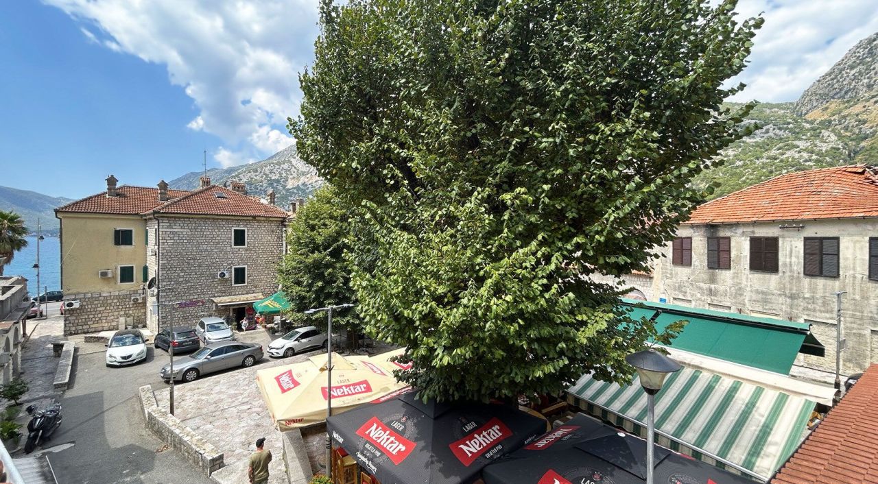 Квартира в Рисане, Черногория, 22 м² - фото 9