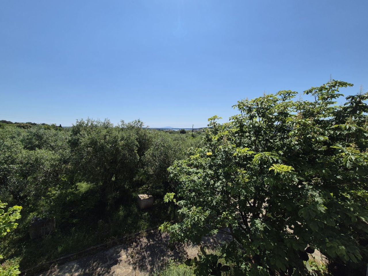 Отель, гостиница в Помере, Хорватия, 320 м² - фото 19