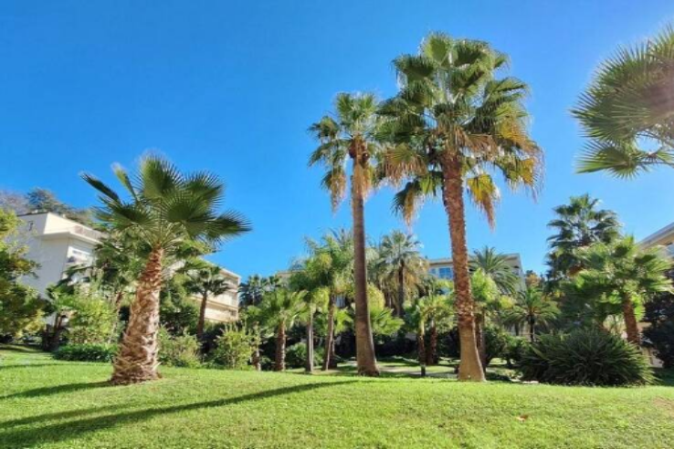 Квартира в Каннах, Франция, 41 м² - фото 1