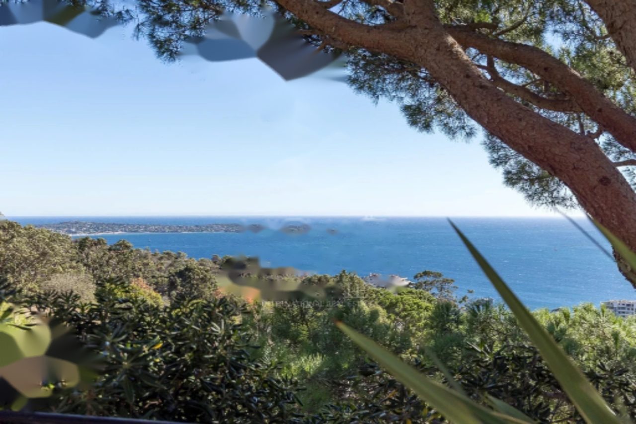 Квартира в Каннах, Франция, 395 м² - фото 3