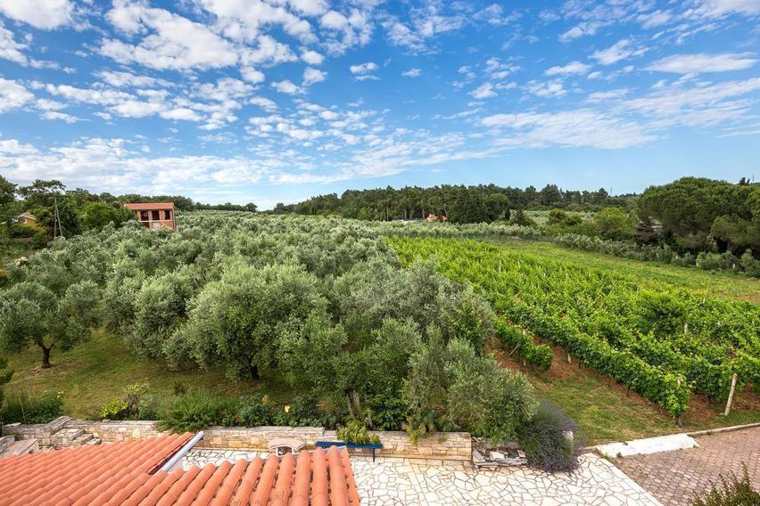 Вилла в Медулине, Хорватия, 240 м² - фото 2