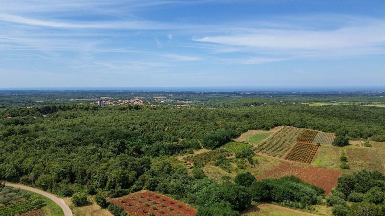 Вилла в Вишняне, Хорватия, 265 м² - фото 2