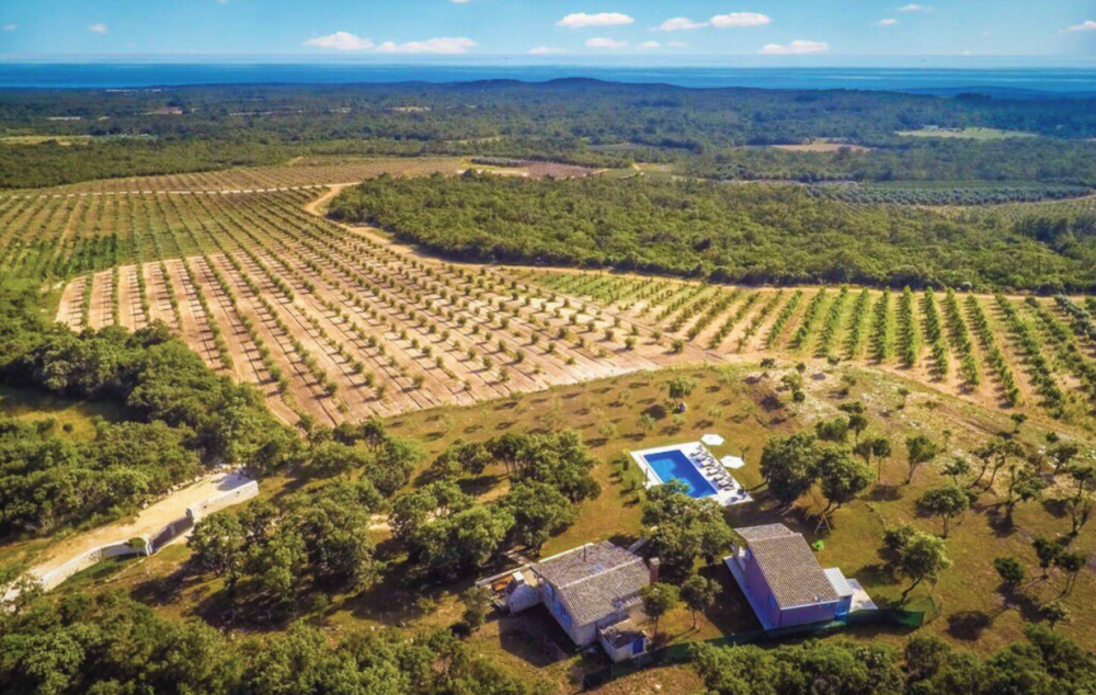 Вилла в Ровини, Хорватия, 115 м² - фото 3