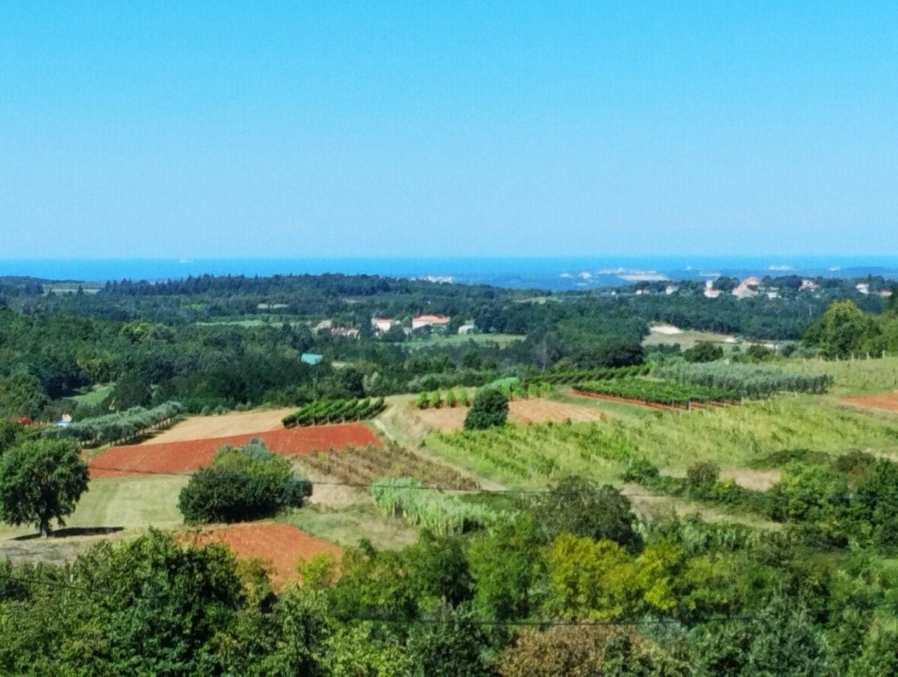 Вилла в Вижинаде, Хорватия, 354 м² - фото 4