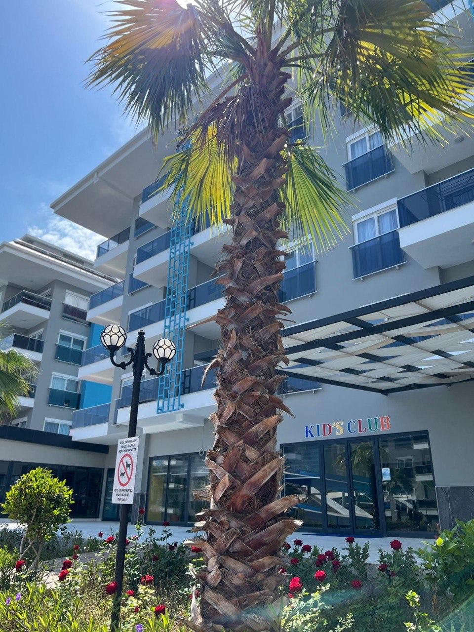 Квартира в Кестеле, Турция, 55 м² - фото 18