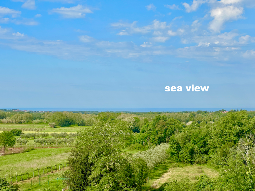 Вилла в Бртонигле, Хорватия, 350 м² - фото 5