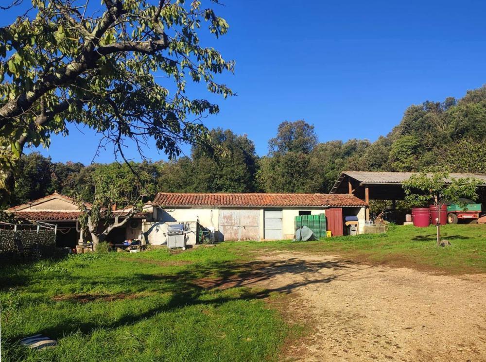 Вилла в Ровини, Хорватия, 420 м² - фото 5