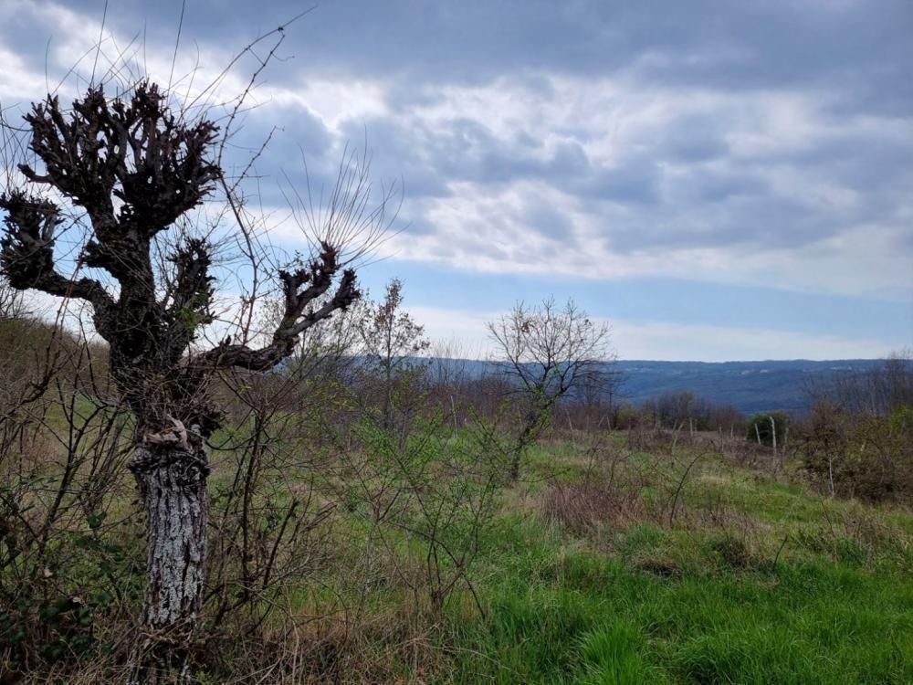 Вилла в Лабине, Хорватия, 349 м² - фото 5