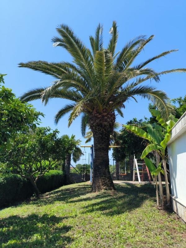 Вилла в Медулине, Хорватия, 240 м² - фото 6