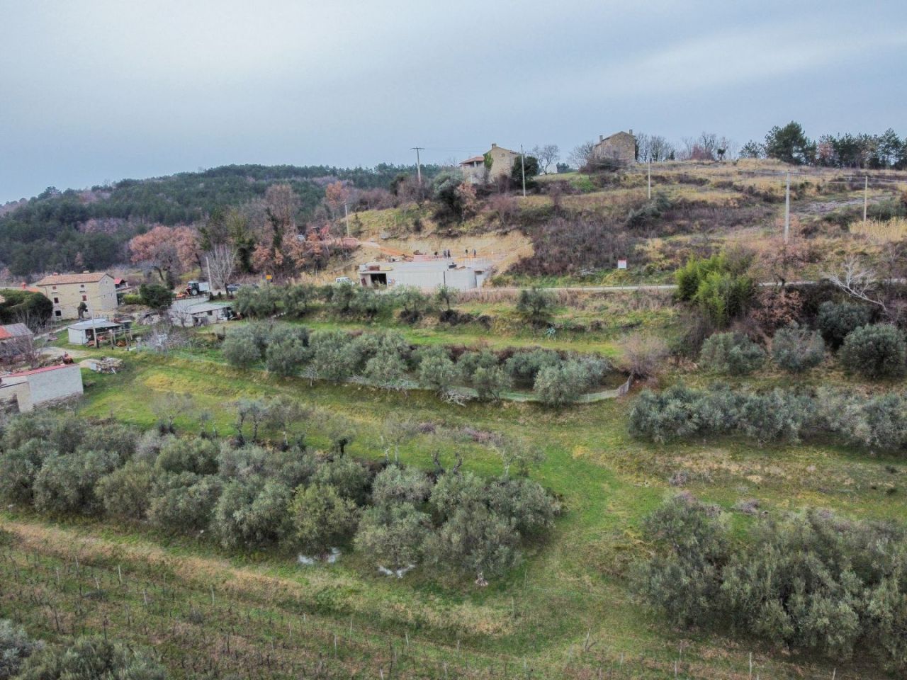 Вилла в Буйе, Хорватия, 277 м² - фото 7