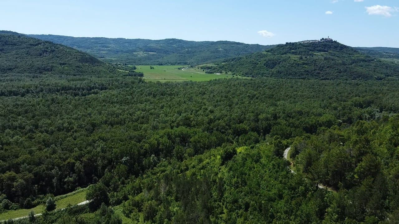 Вилла в Мотовуне, Хорватия, 465 м² - фото 7