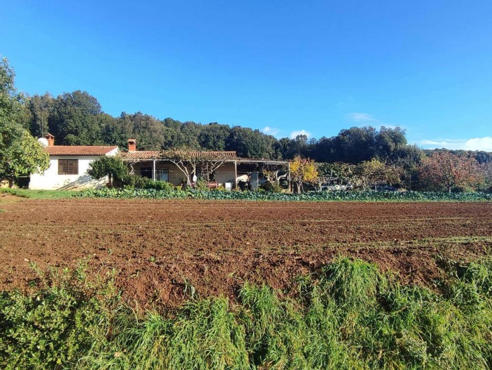 Вилла в Ровини, Хорватия, 420 м² - фото 7