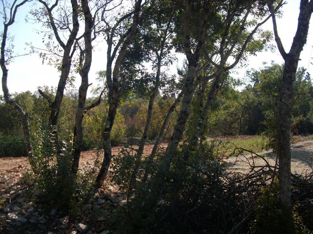 Вилла на Крке, Хорватия, 400 м² - фото 8