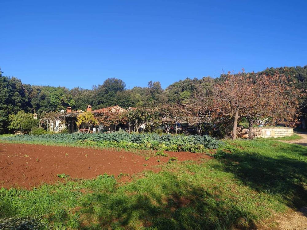 Вилла в Ровини, Хорватия, 420 м² - фото 8