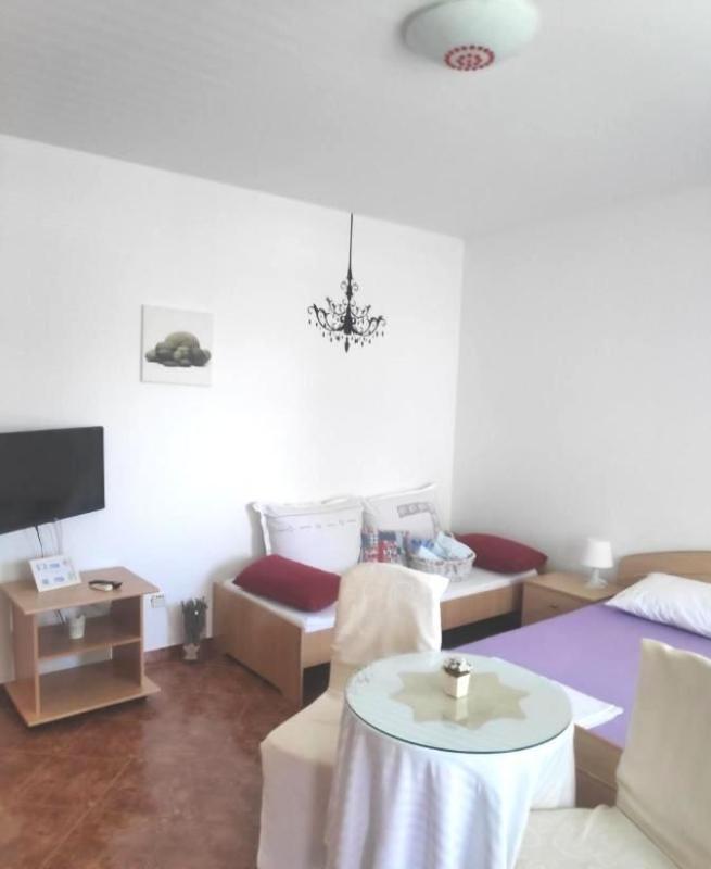 Отель, гостиница в Медулине, Хорватия, 523 м² - фото 8