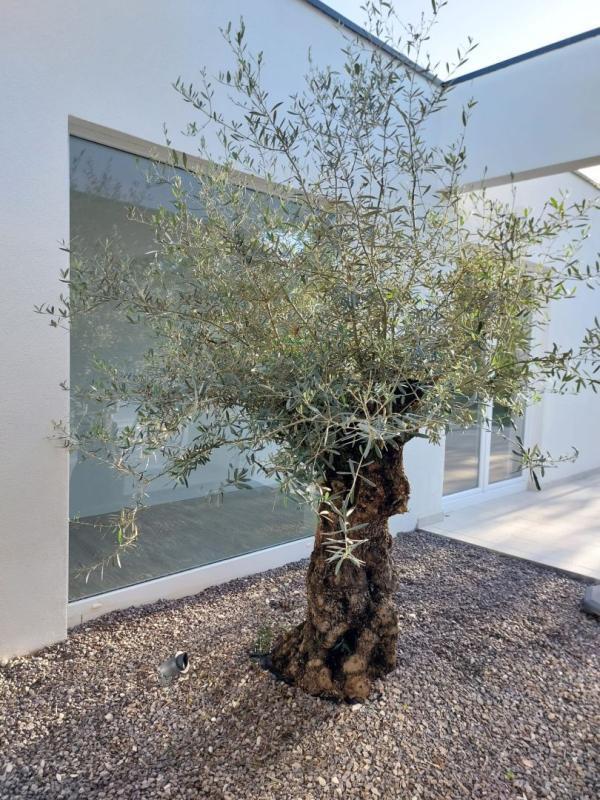 Вилла в Рабаце, Хорватия, 142 м² - фото 10