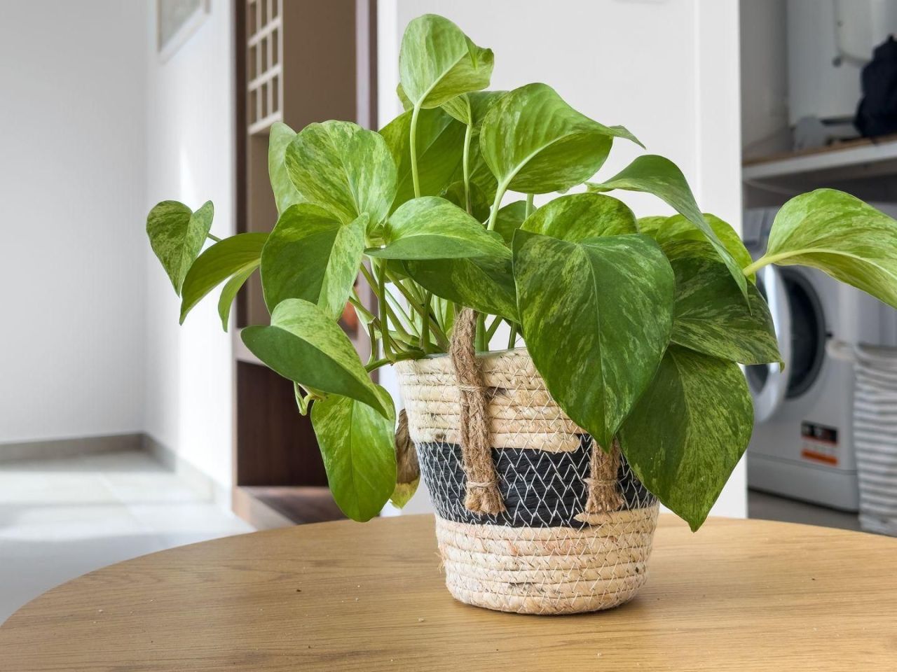 Вилла в Марчане, Хорватия, 100 м² - фото 11