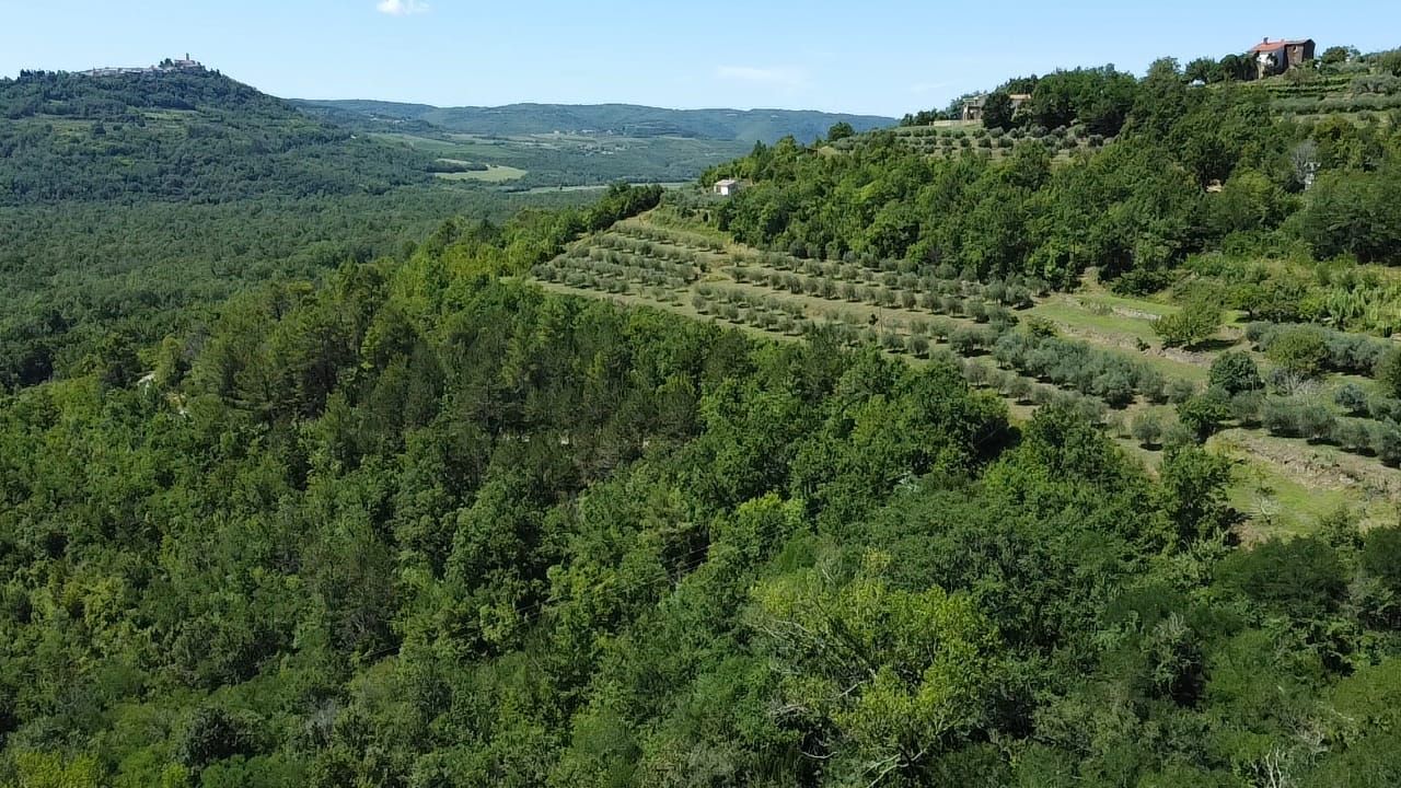 Вилла в Мотовуне, Хорватия, 465 м² - фото 12