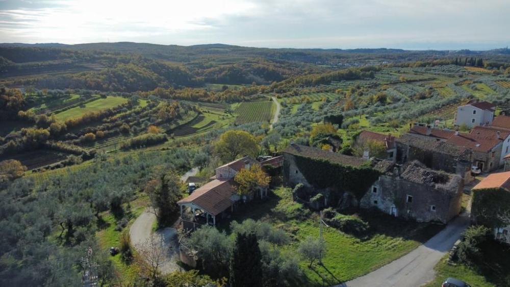 Вилла в Буйе, Хорватия, 1 962 м² - фото 12