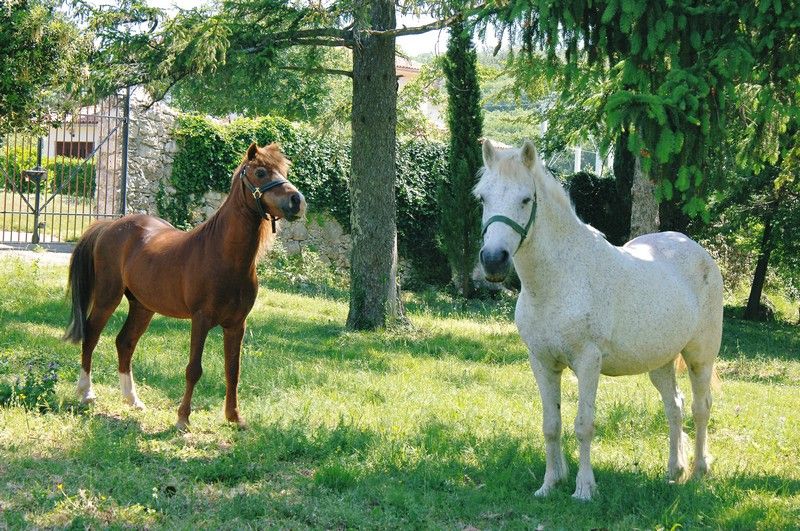 Отель, гостиница в Лабине, Хорватия, 3 000 м² - фото 14