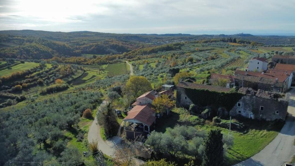 Вилла в Буйе, Хорватия, 1 962 м² - фото 15