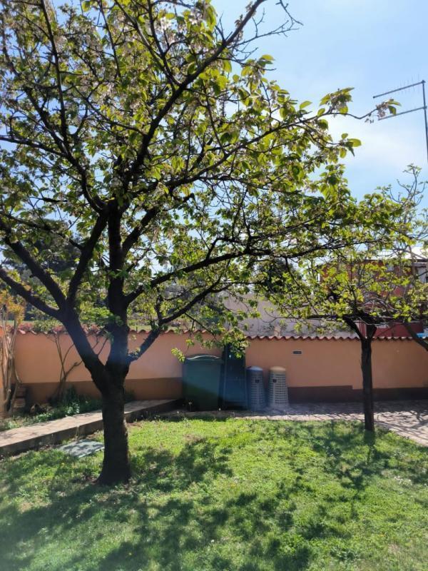 Отель, гостиница в Фажане, Хорватия, 320 м² - фото 15