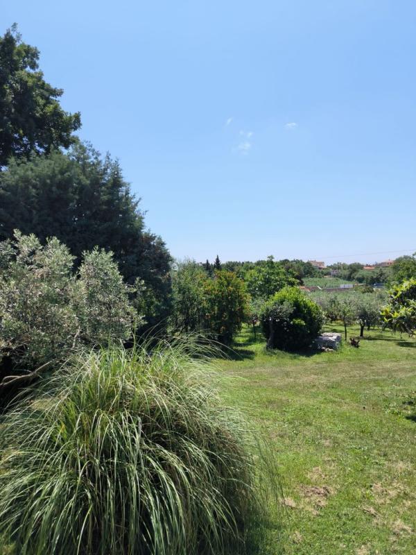 Вилла в Медулине, Хорватия, 240 м² - фото 15