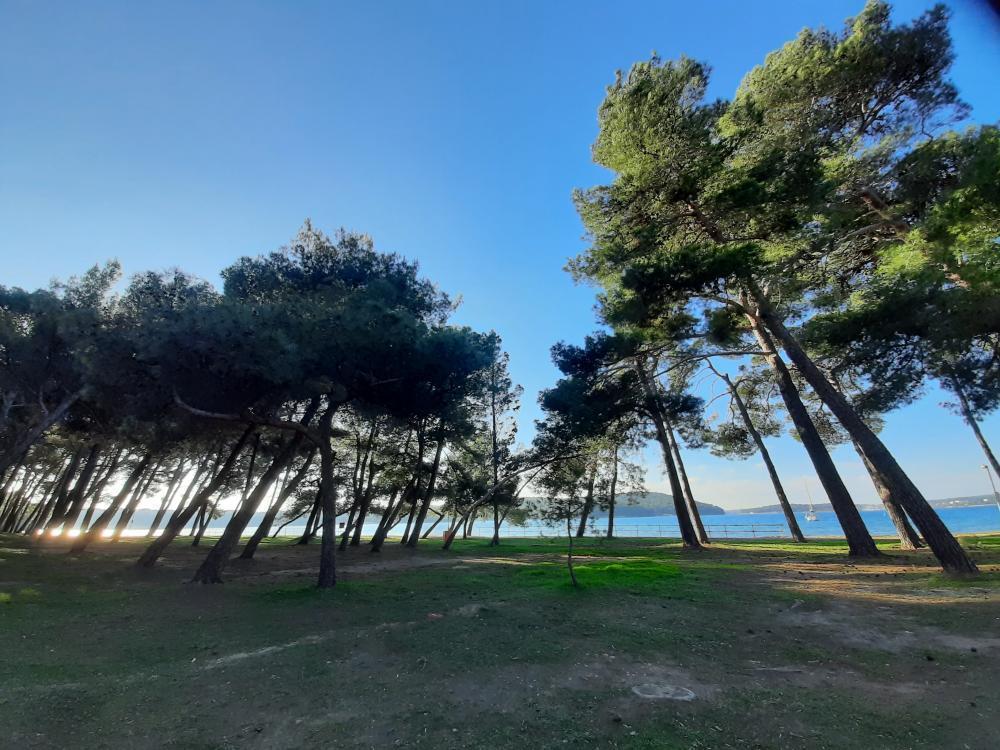 Отель, гостиница в Медулине, Хорватия, 331 м² - фото 15