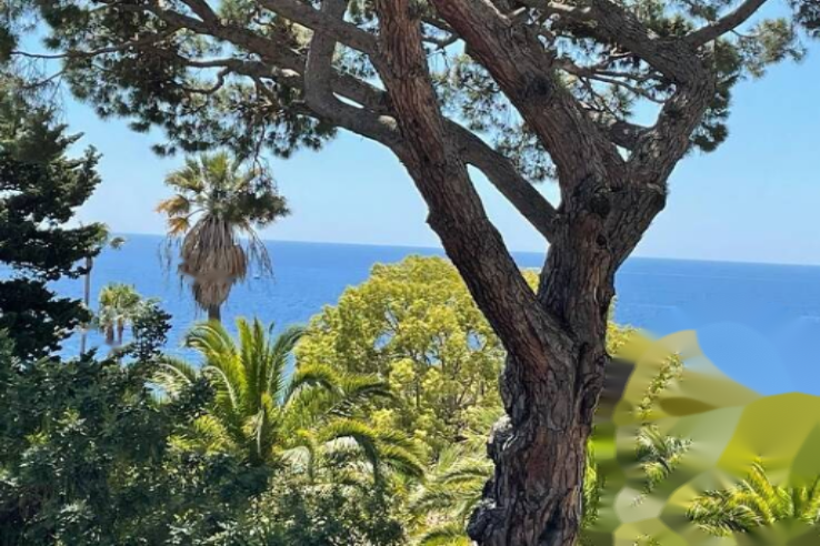 Квартира в Каннах, Франция, 29 м² - фото 1