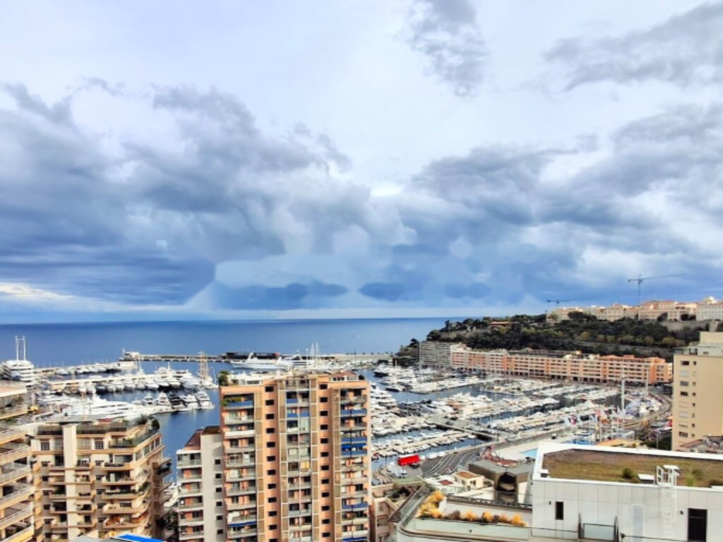 Квартира в Ла-Кондамине, Монако - фото 1