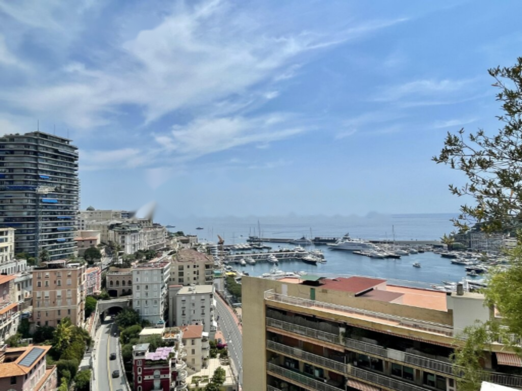 Квартира в Монегетти, Монако, 340 м² - фото 1