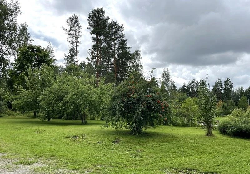 Квартира в Ямся, Финляндия, 91 м² - фото 16