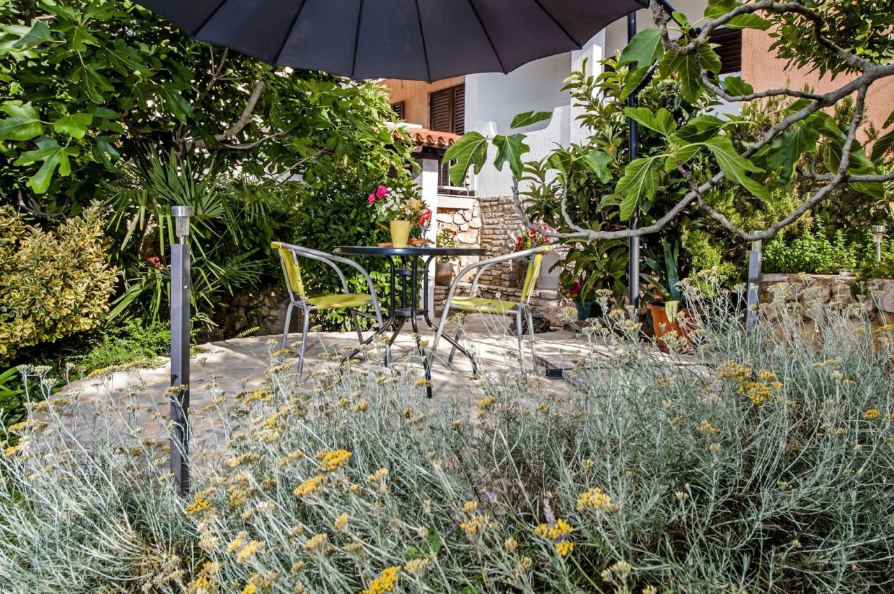 Отель, гостиница в Ровини, Хорватия, 360 м² - фото 2